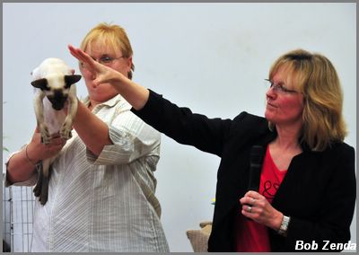 Wendy Hamilton evaluating BIS contenders 6
